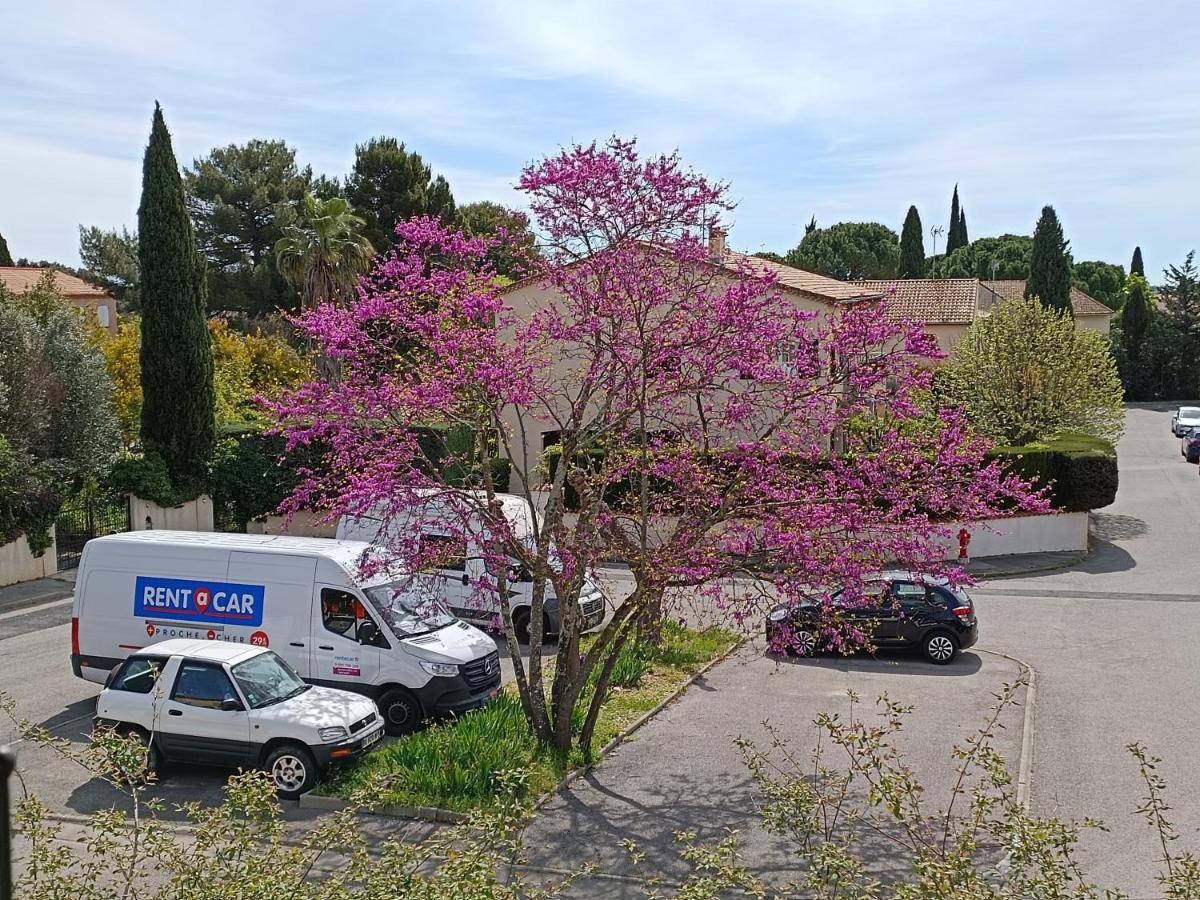 L'oasis Paisible Castelnau-le-Lez
