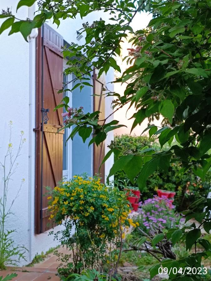 L'oasis Paisible Apartment Castelnau-le-Lez